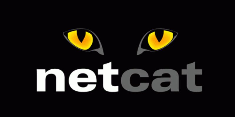 netcat download